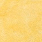 Campione colore crema — pelle decorata a mano Bordoni Leathers