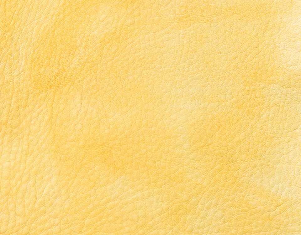 Campione colore crema — pelle decorata a mano Bordoni Leathers