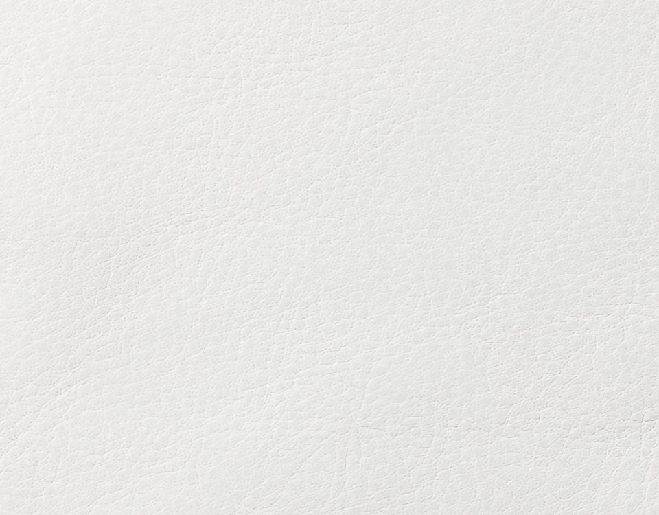 Campione colore gesso — pelle decorata a mano Bordoni Leathers