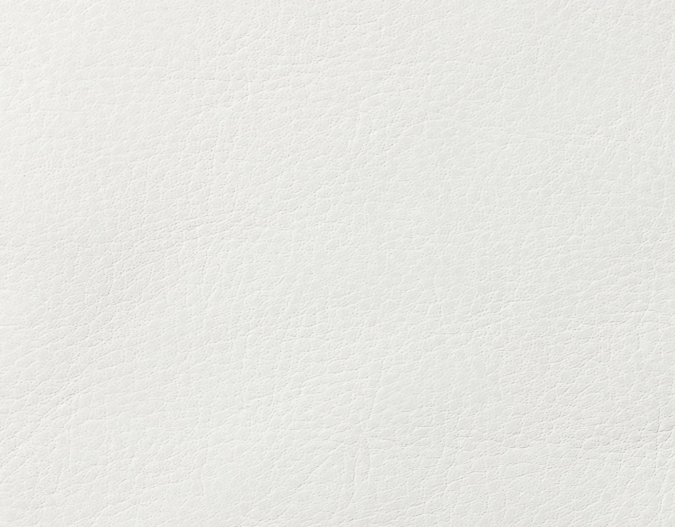 Campione colore gesso — pelle decorata a mano Bordoni Leathers