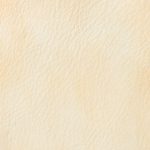 Campione colore avorio — pelle decorata a mano Bordoni Leathers