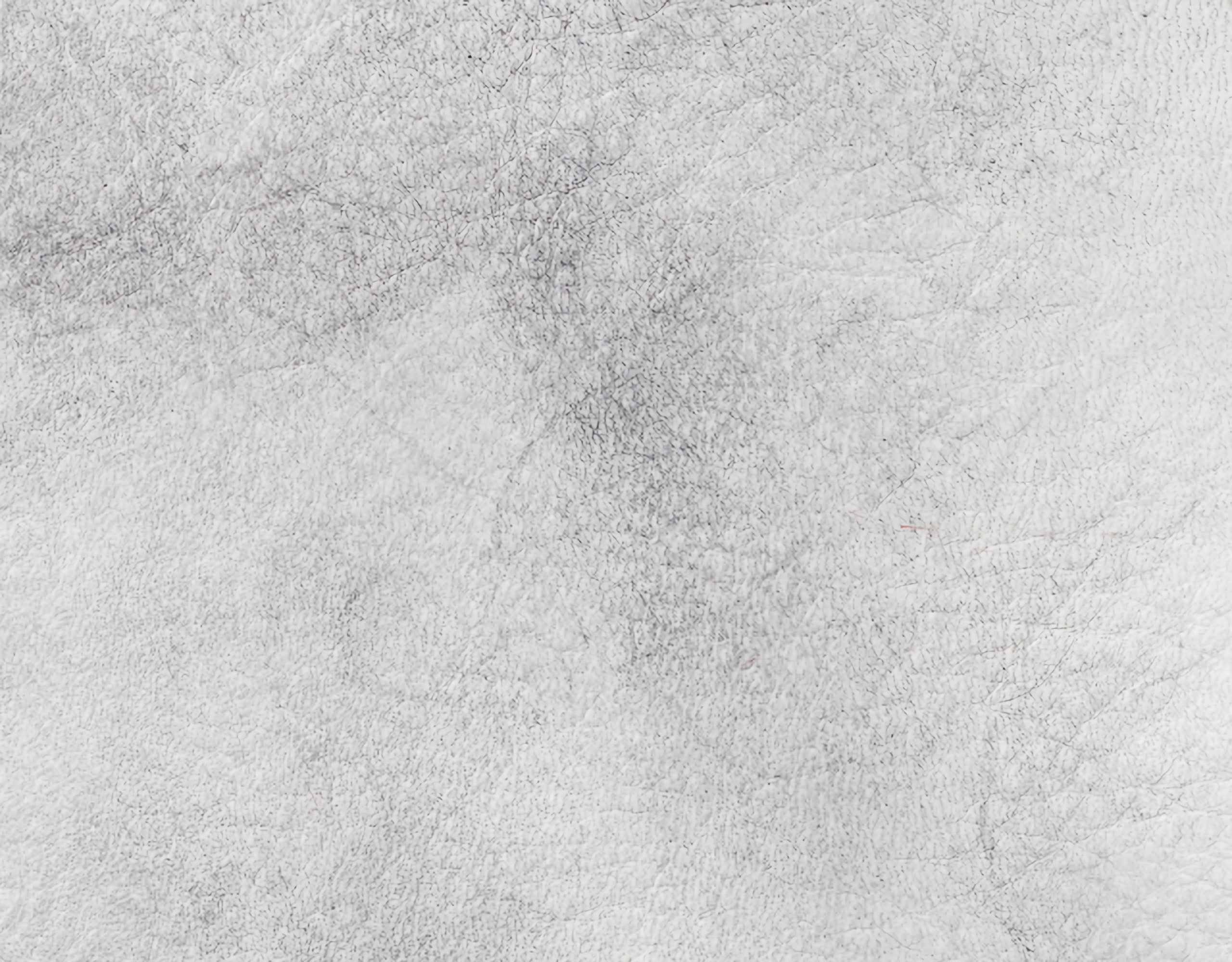 Campione colore grigio — pelle decorata a mano Bordoni Leathers