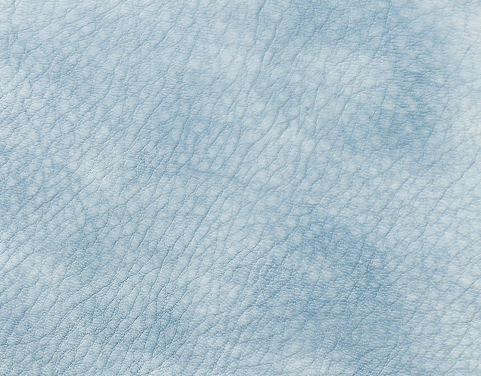 Campione colore azzurro — pelle decorata a mano Bordoni Leathers