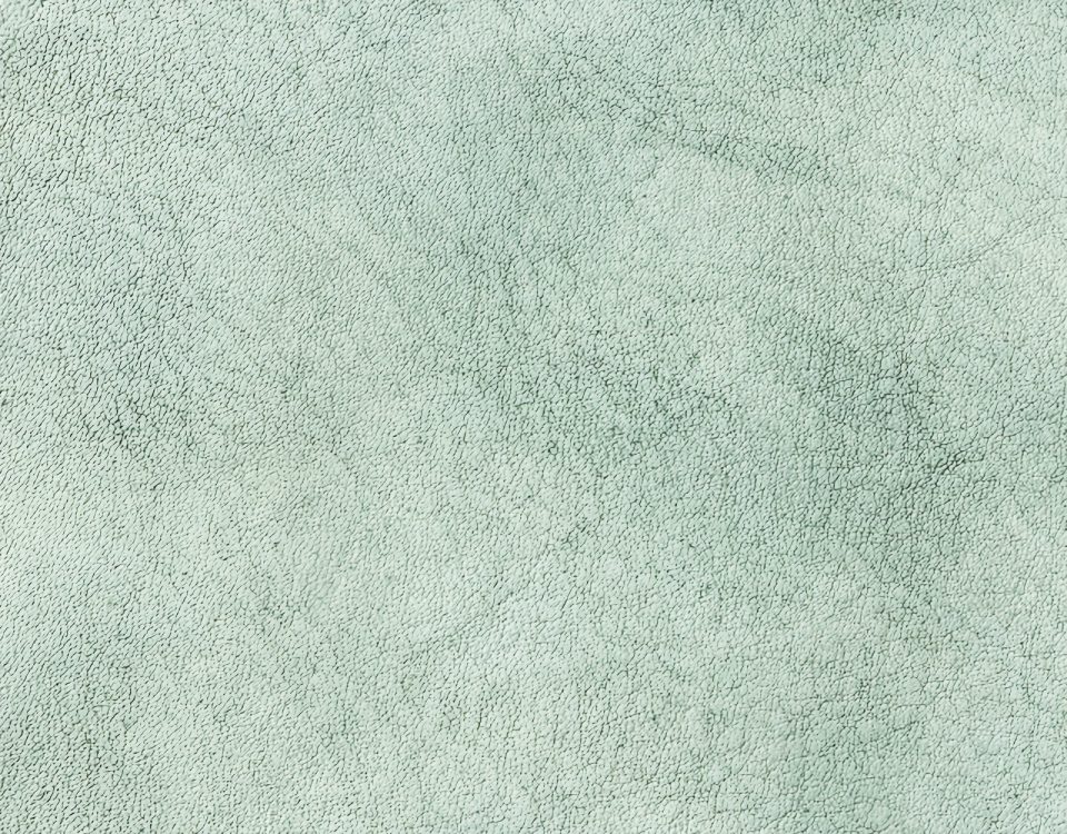 Campione colore salvia — pelle decorata a mano Bordoni Leathers