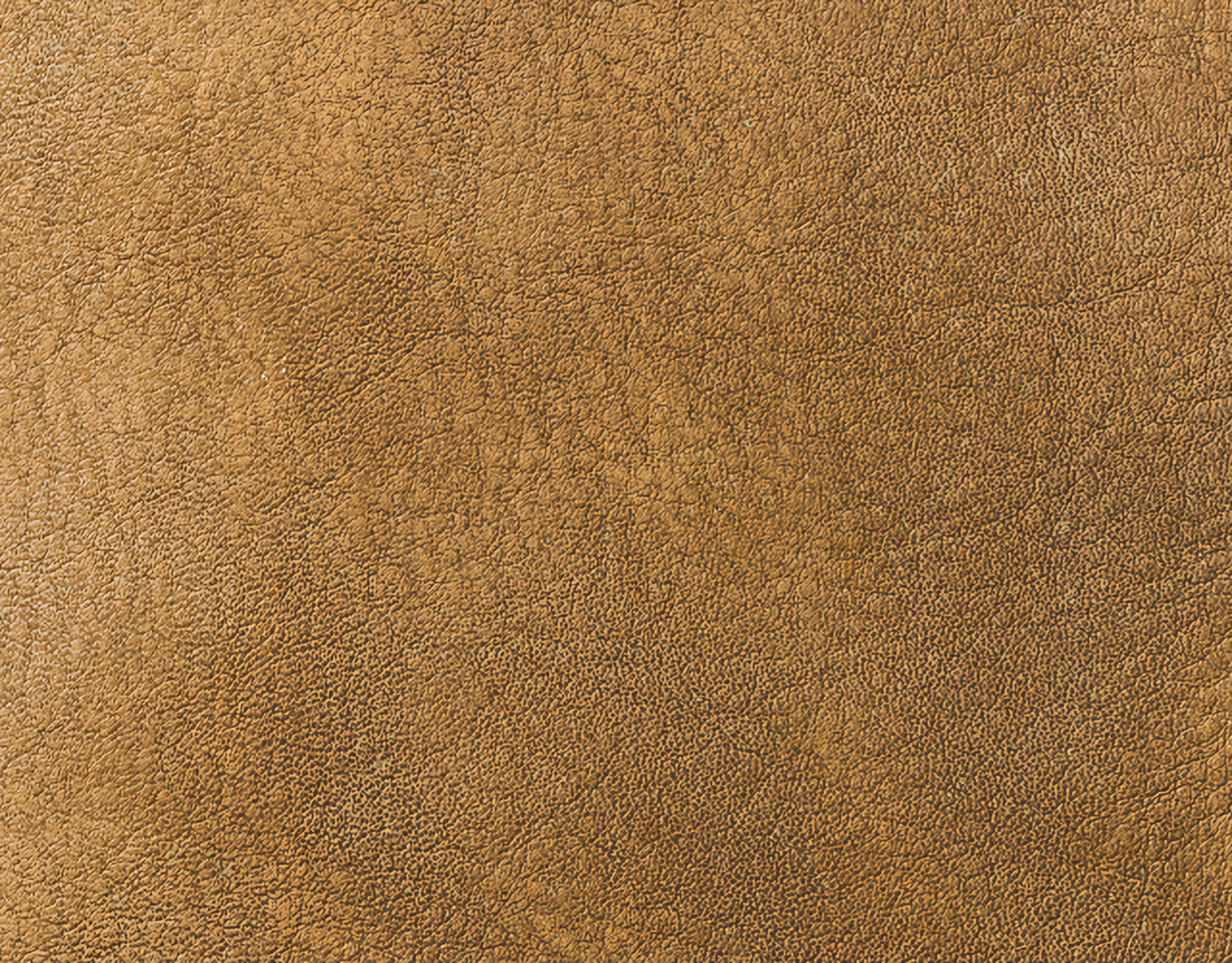 Campione colore oliva — pelle decorata a mano Bordoni Leathers