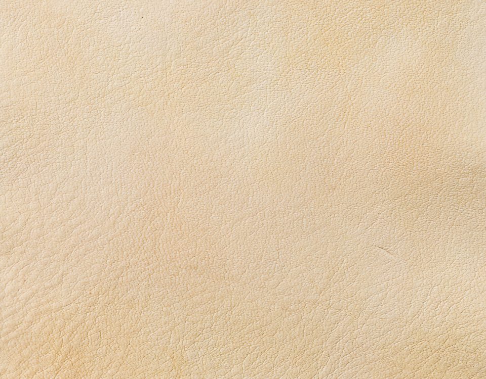 Campione colore sabbia — pelle decorata a mano Bordoni Leathers