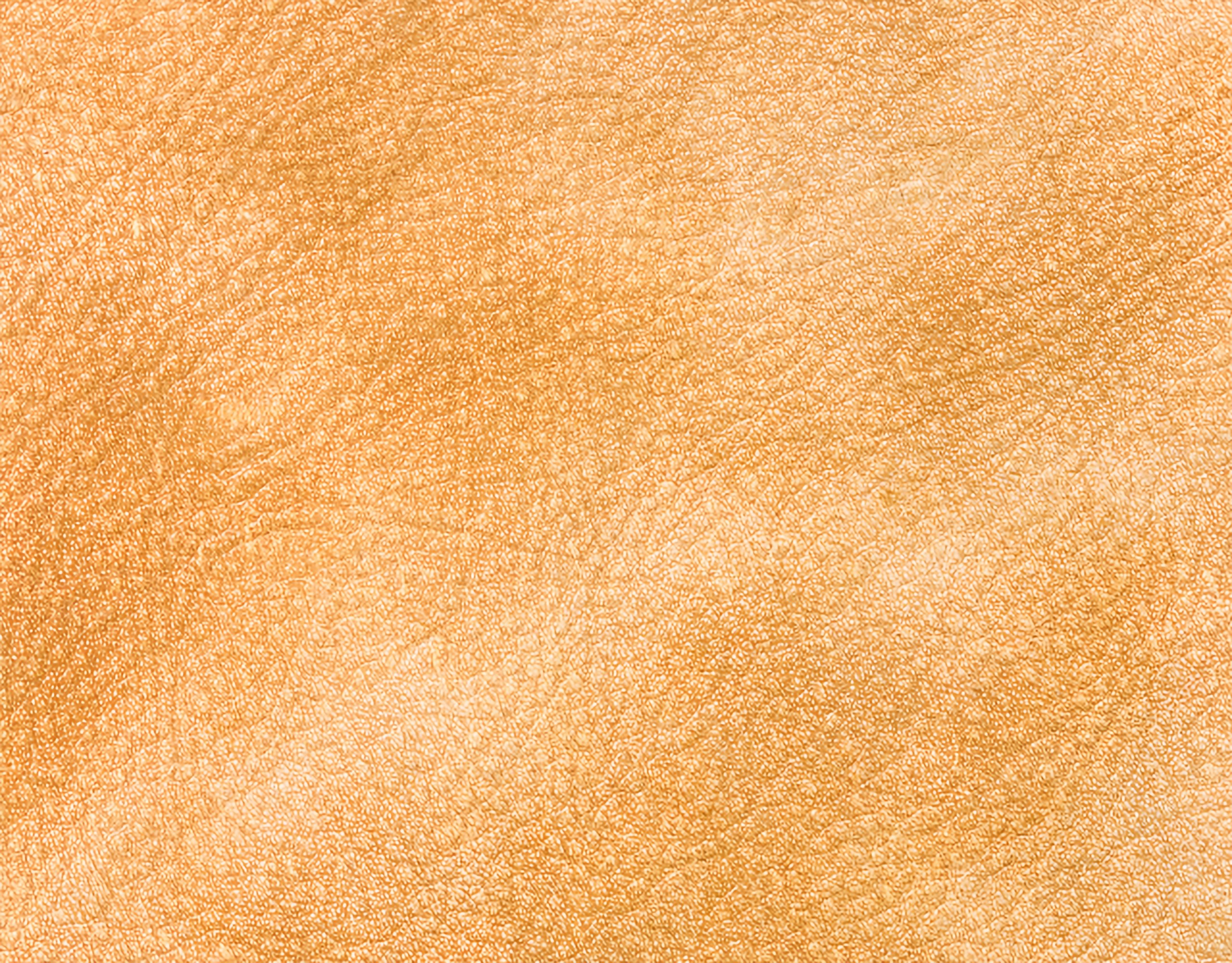 Campione colore cuoio — pelle decorata a mano Bordoni Leathers