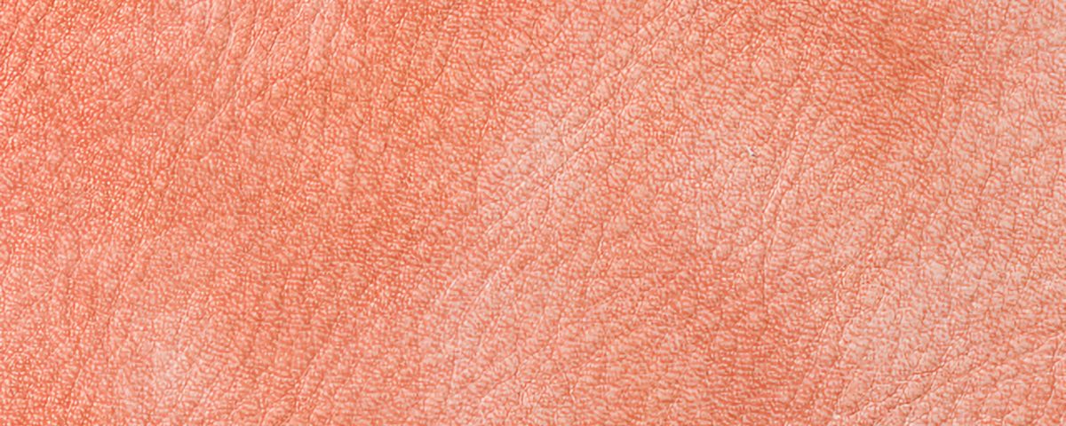 Campione colore salmone — pelle decorata a mano Bordoni Leathers