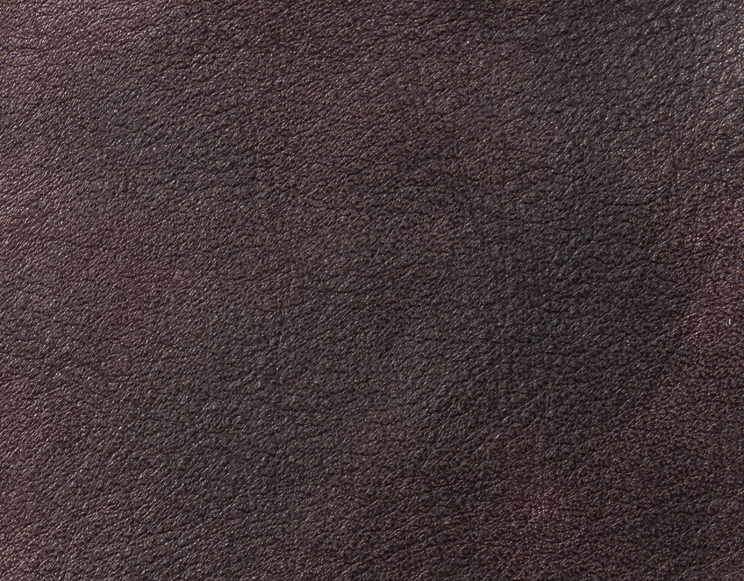 Campione colore ebano — pelle decorata a mano Bordoni Leathers