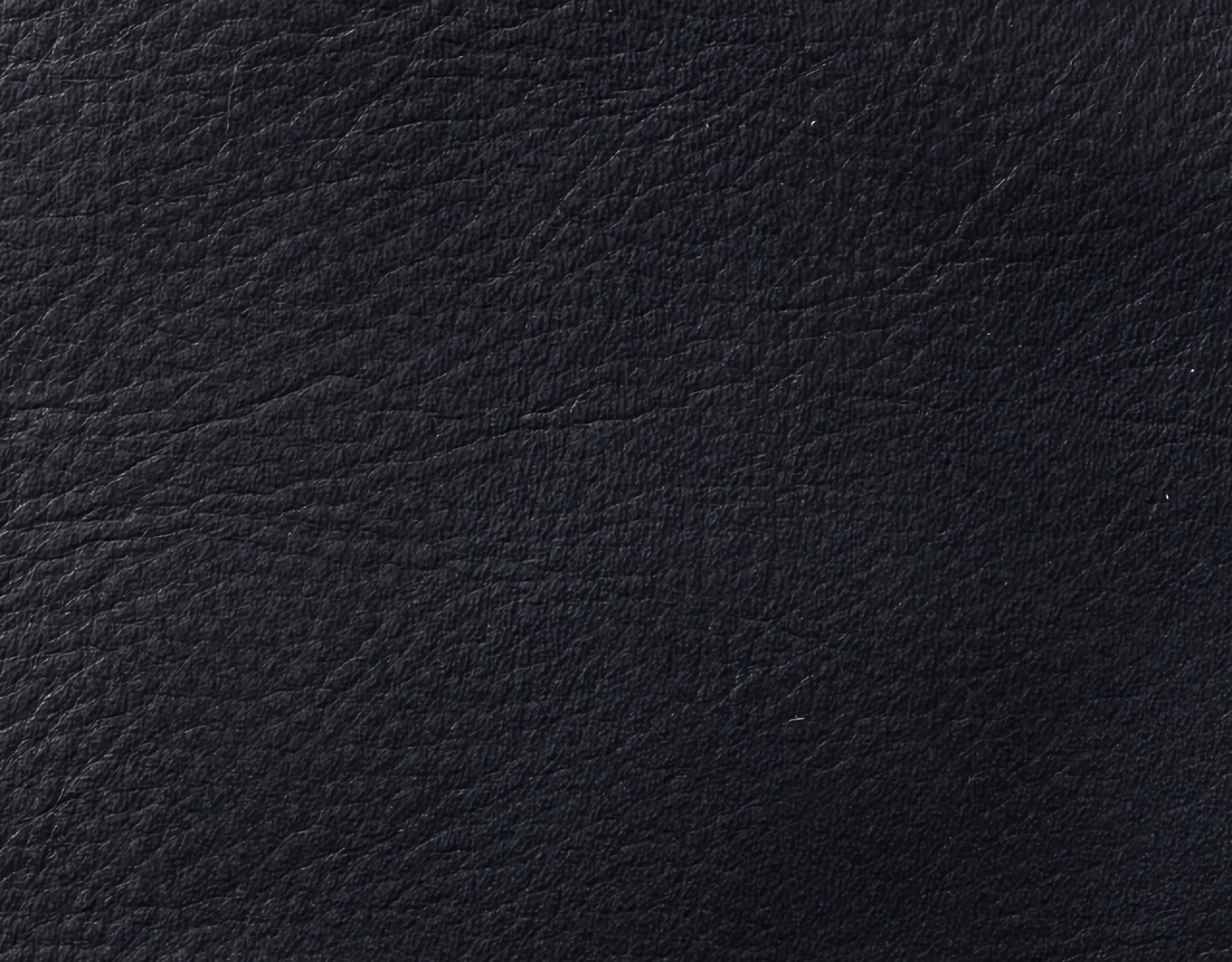 Campione colore nero — pelle decorata a mano Bordoni Leathers
