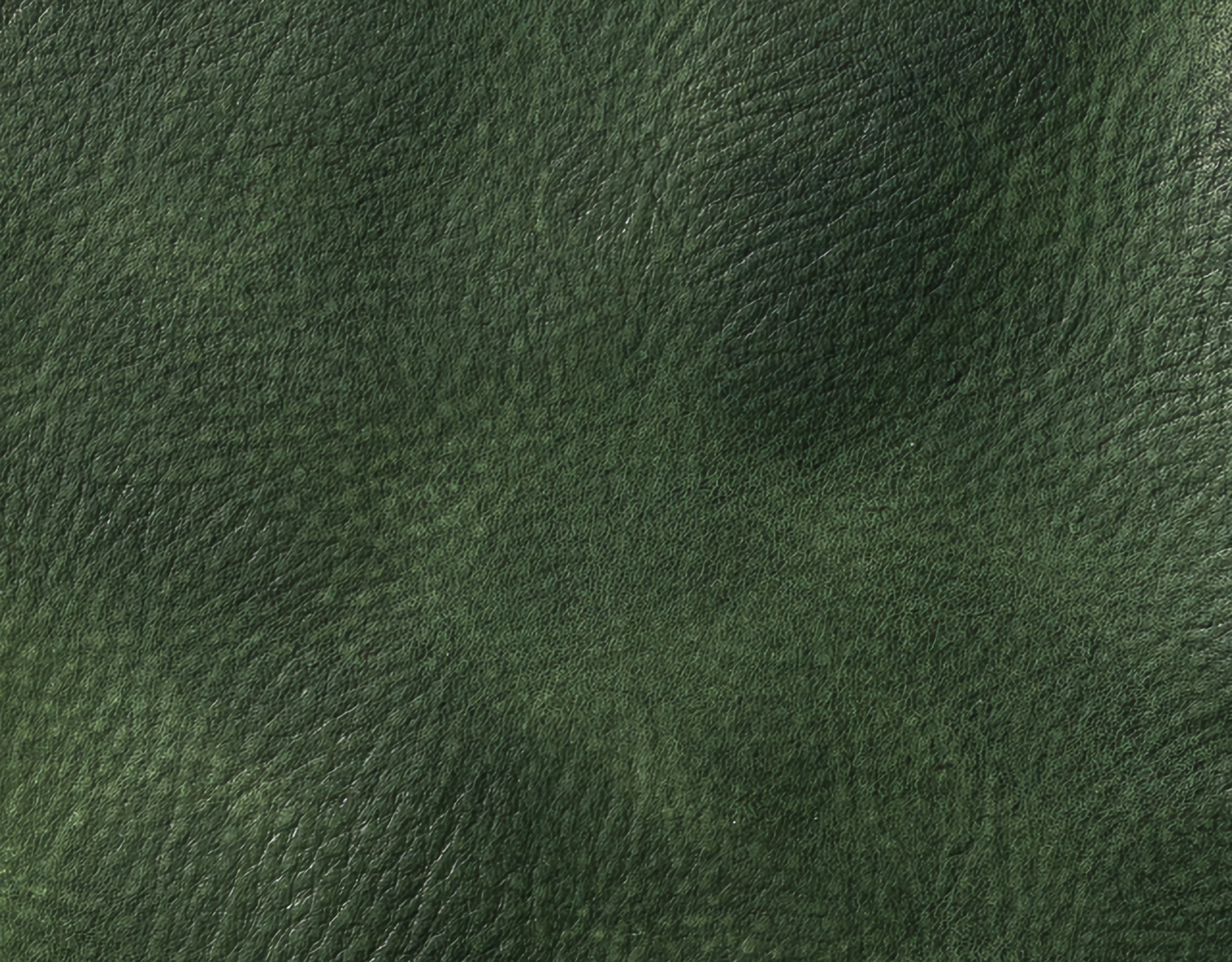 Campione colore verde scuro — pelle decorata a mano Bordoni Leathers