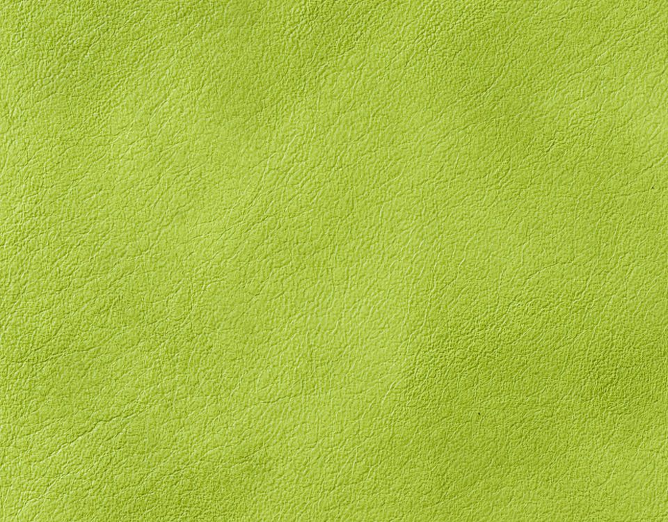 Campione colore erba — pelle decorata a mano Bordoni Leathers