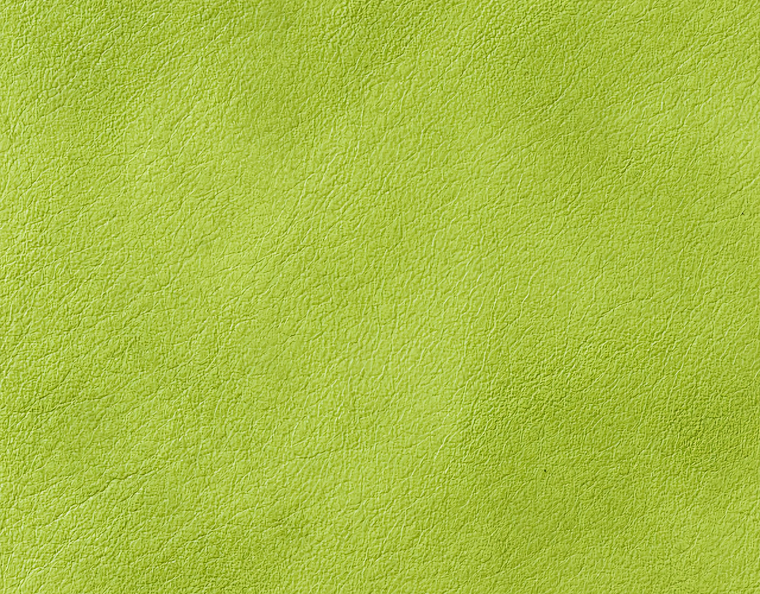 Campione colore erba — pelle decorata a mano Bordoni Leathers