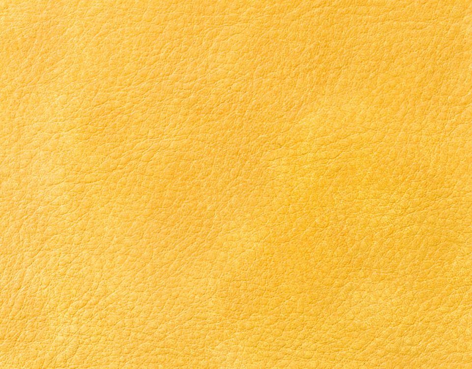 Campione colore giallo — pelle decorata a mano Bordoni Leathers