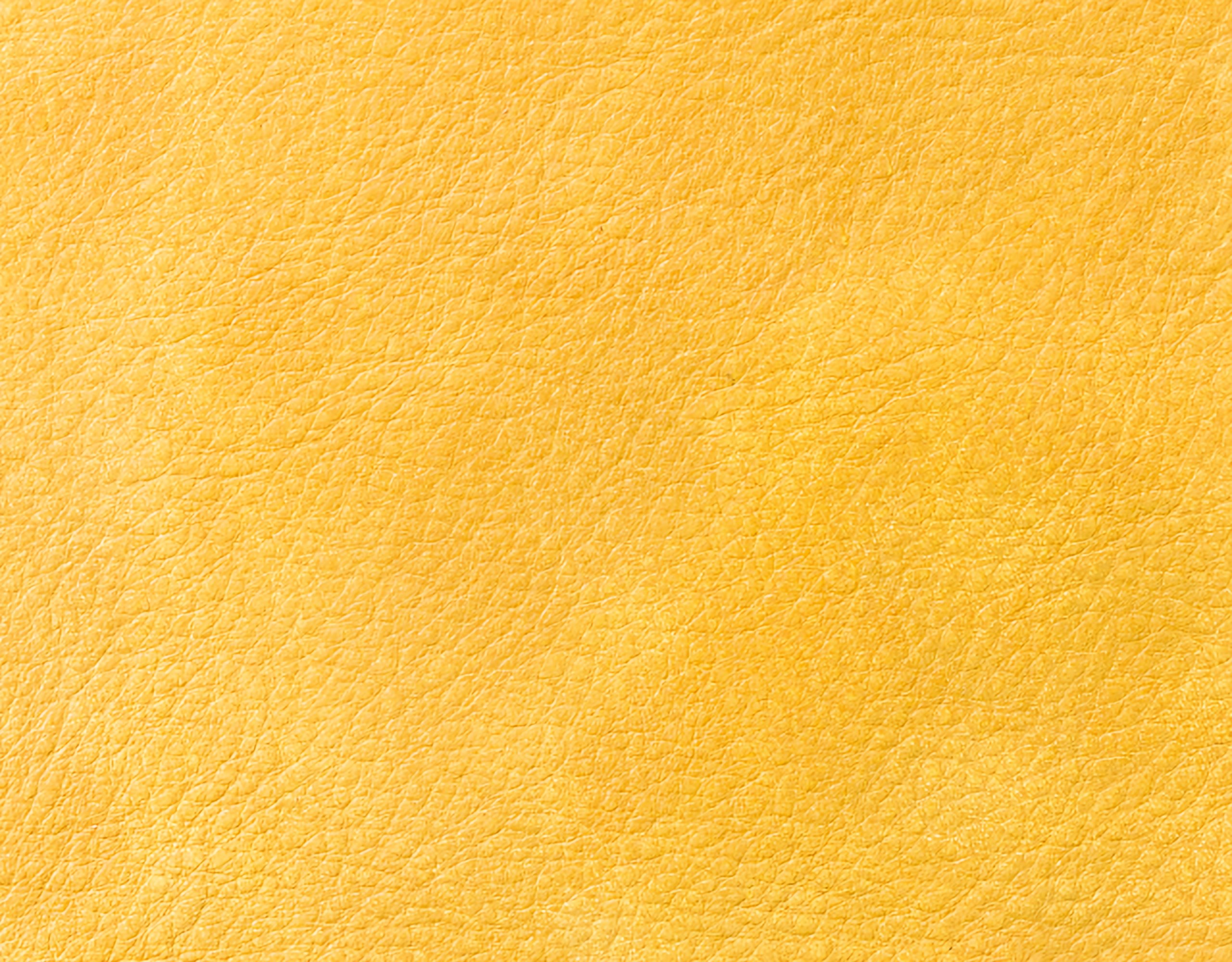 Campione colore giallo — pelle decorata a mano Bordoni Leathers