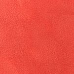Campione colore rosso — pelle decorata a mano Bordoni Leathers